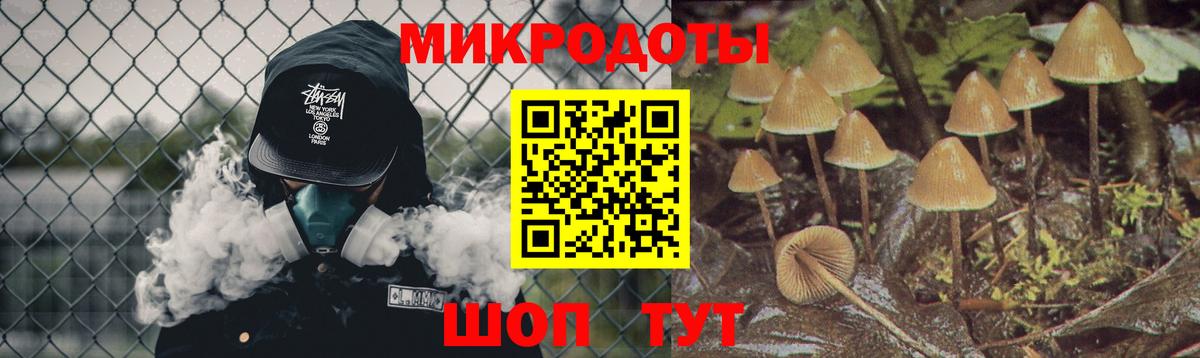 Псилоцибиновые грибы Psilocybine cubensis  Вход с VPN  Выкса  Галлюциногенные грибы прущие грибы 